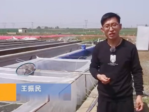 種蛭的選擇