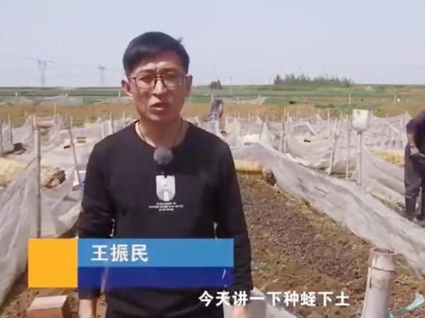 種蛭下土注意事項(xiàng)