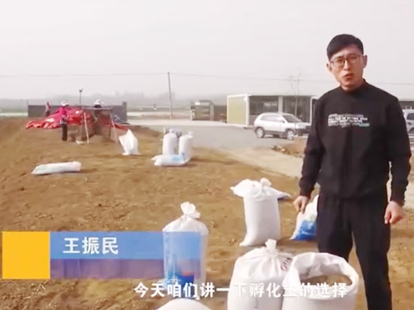 卵化土的選擇