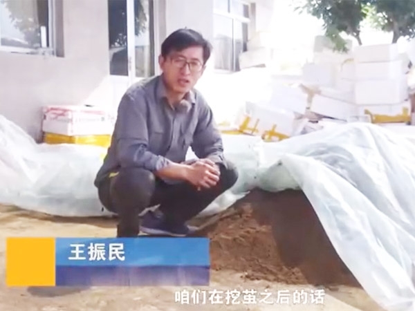 卵化土的調(diào)制