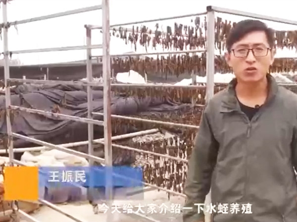 行業(yè)現(xiàn)狀