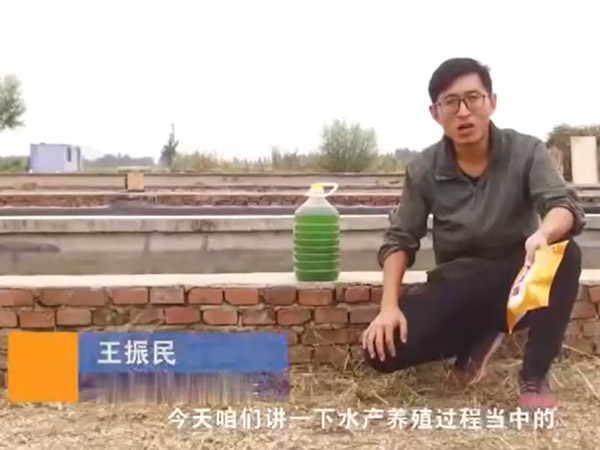 水產(chǎn)養(yǎng)殖過程中藻類的使用介紹