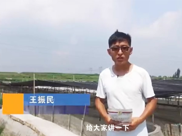 菌種介紹-EM菌介紹