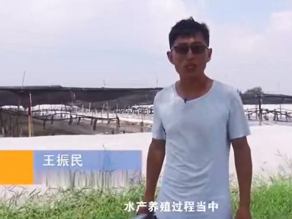 菌種介紹-乳酸菌介紹