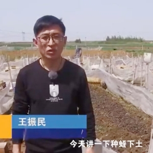 種蛭下土注意事項(xiàng)