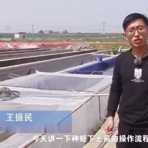 種蛭下載前操作