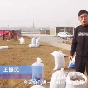 卵化土的選擇