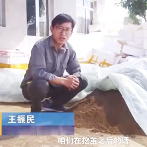 卵化土的調(diào)制