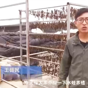 行業(yè)現(xiàn)狀