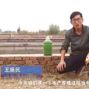 水產(chǎn)養(yǎng)殖過程中藻類的使用介紹