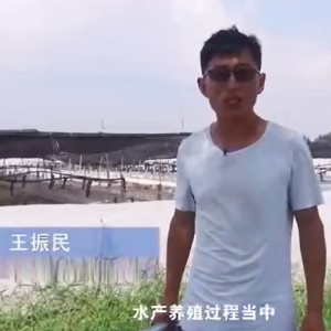 菌種介紹-乳酸菌介紹