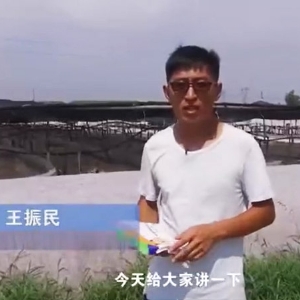 菌種介紹-芽孢桿菌介紹